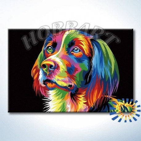 Ваю Ромдони. Радужный пёс Раскраска картина по номерам акриловыми красками на холсте Hobbart
