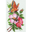 Бабочка на цветке Канва с рисунком для вышивания Матренин Посад