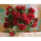 Красные пионы Дарьи Никончук Раскраска картина по номерам акриловыми красками на холсте Menglei