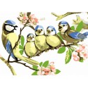 Птенцы на ветке Раскраска картина по номерам на холсте Menglei