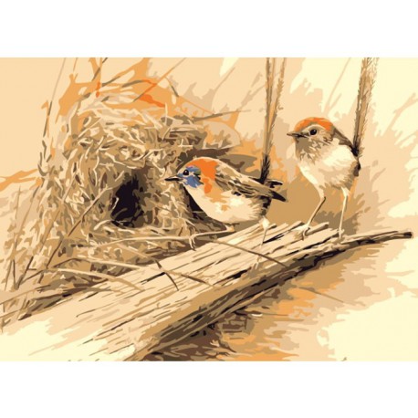 Райские птицы (Эрик Шеперд) Раскраска картина по номерам акриловыми красками на холсте Menglei