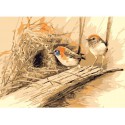 Райские птицы (Эрик Шеперд) Раскраска картина по номерам на холсте Menglei