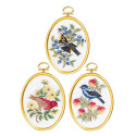  Птицы Набор для вышивания Janlynn 004-0862