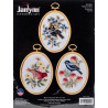 Упаковка Птицы Набор для вышивания Janlynn 004-0862
