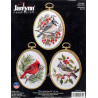 Упаковка Зимние птицы Набор для вышивания Janlynn 004-0861