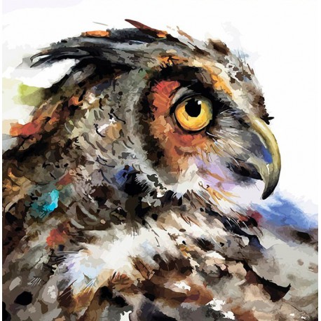 Мудрая сова Раскраска картина по номерам акриловыми красками Color Kit