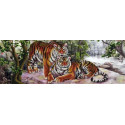Амурские тигры Канва с рисунком для вышивки бисером Конек