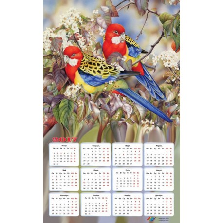 Райские птички Календарь 2017г Алмазная частичная вышивка (мозаика) Color Kit | Купить календарь