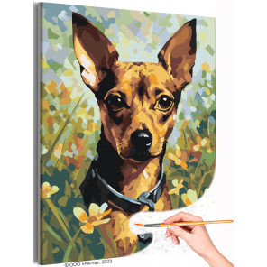 Пинчер на природе Собаки Лето Цветы Раскраска картина по номерам на холсте