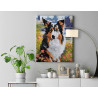 Портрет бордер-колли на природе Собаки Животные Лето 100х125 Раскраска картина по номерам на холсте