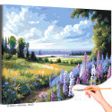 Пейзаж с цветами и полем Природа Лето Лес Раскраска картина по номерам на холсте