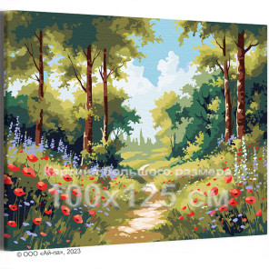 Цветы вдоль лесной дороги Природа Пейзаж Маки Лето Интерьерная 100х125 Раскраска картина по номерам на холсте