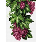 Кисти винограда Алмазная мозаика вышивка Гранни | Алмазная мозаика купить