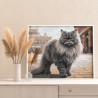 Персидский кот на городской улице Животные Кошка Раскраска картина по номерам на холсте