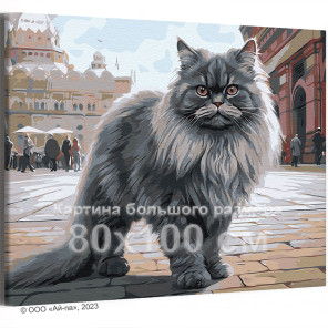 Персидский кот на городской улице Животные Кошка 80х100 Раскраска картина по номерам на холсте