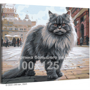 Персидский кот на городской улице Животные Кошка 100х125 Раскраска картина по номерам на холсте