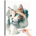 Пушистый зеленоглазый кот Животные Кошки Котята Арт Раскраска картина по номерам на холсте
