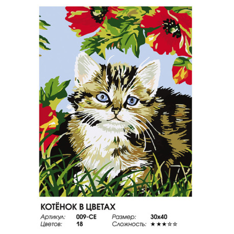  Котенок в цветах Раскраска картина по номерам на холсте Белоснежка 009-CE