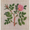  Роза Набор для вышивания Haandarbejdets Fremme 30-6722