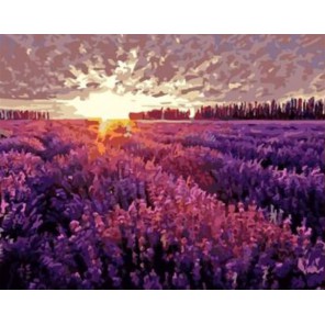 Рассвет над лавандовым полем Раскраска картина по номерам акриловыми красками на холсте