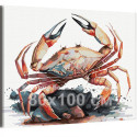 Краб на камнях Морские животные 80х100 Раскраска картина по номерам на холсте