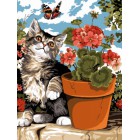 Котенок и бабочка Раскраска картина по номерам акриловыми красками на холсте | Купить самовывозом в интернет магазине