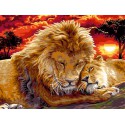 Лев с львицей Раскраска картина по номерам на холсте