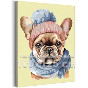 Бульдог в шапке Животные Собака Пес Щенок Осень 100х125 Раскраска картина по номерам на холсте