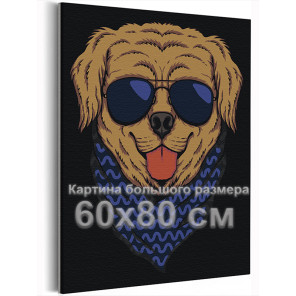 Золотистый ретривер в темных очках / Животные / Собаки 60х80 Раскраска картина по номерам на холсте