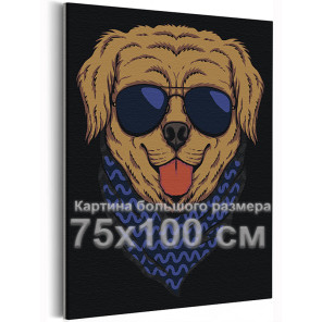 Золотистый ретривер в темных очках / Животные / Собаки 75х100 Раскраска картина по номерам на холсте