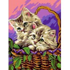 Котята в корзинке Раскраска картина по номерам акриловыми красками на холсте