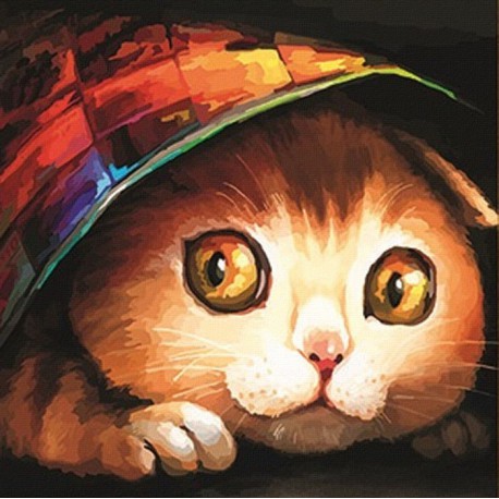 Котишка-шалунишка Раскраска картина по номерам акриловыми красками Color Kit