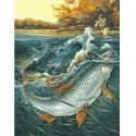 Чудо-рыба Раскраска картина по номерам на холсте Menglei