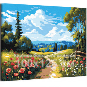 Дорога в лес с маками Природа Пейзаж Цветы Лето 100х125 Раскраска картина по номерам на холсте