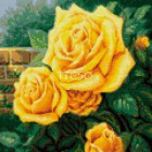 Желтые розы Алмазная мозаика на твердой основе Iteso