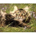 В мире кошек Раскраска картина по номерам на холсте Menglei