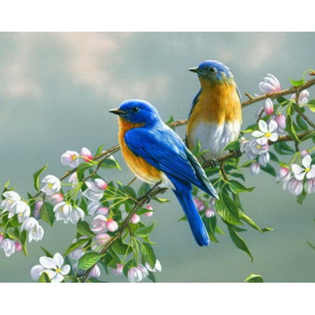 Птицы на ветке Раскраска картина по номерам акриловыми красками на холсте Menglei