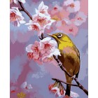Сакура цветет Раскраска картина по номерам акриловыми красками на холсте Menglei