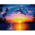 Дельфины на закате Алмазная мозаика на твердой основе Iteso