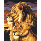 Лев и львица Раскраска картина по номерам акриловыми красками на холсте Menglei