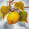  Лимон Алмазная вышивка мозаика Белоснежка 2006-ST-S