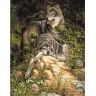 Волки на отдыхе Раскраска картина по номерам на холсте