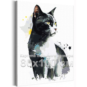 Черный с белым кот Феликс Животные Кошки Котята Арт 80х100 Раскраска картина по номерам на холсте