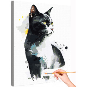 1 Черный с белым кот Феликс Животные Кошки Котята Арт Раскраска картина по номерам на холсте