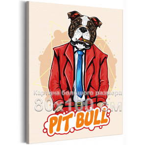 Питбуль в красном костюме Пес Собака Животные 80х100 Раскраска картина по номерам на холсте