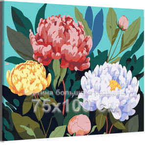 Разноцветные пионы Цветы Растения Природа Интерьерная 75х100 Раскраска картина по номерам на холсте