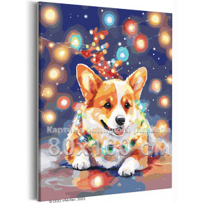 Корги с яркими огнями Животные Собака Новый год 80х100 Раскраска картина по номерам на холсте