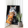  Четыре пушистых кота Животные Кошки Котята Рыжий Смешная Мем 80х100 Раскраска картина по номерам на холсте AAAA-ST0007-80x100