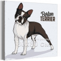 Черно белый французский бульдог Животные Собака Щенок Для детей Для мальчика Для девочки 80х80 Раскраска картина по номерам на х
