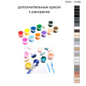 Дополнительные краски для раскраски 40х50 см AAAA-Q1062